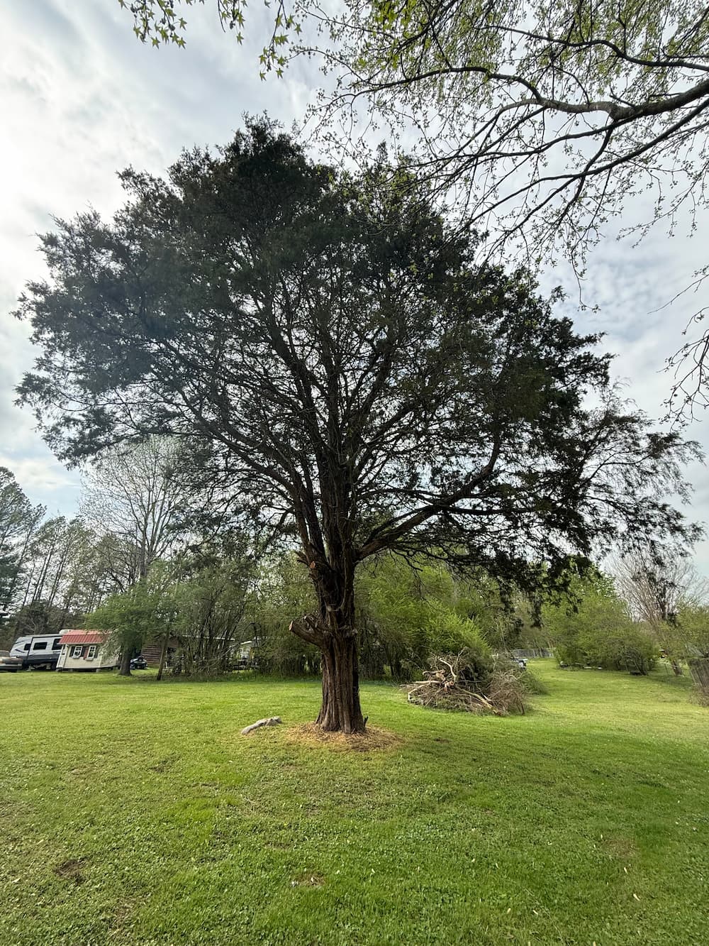 Gallery image 12
