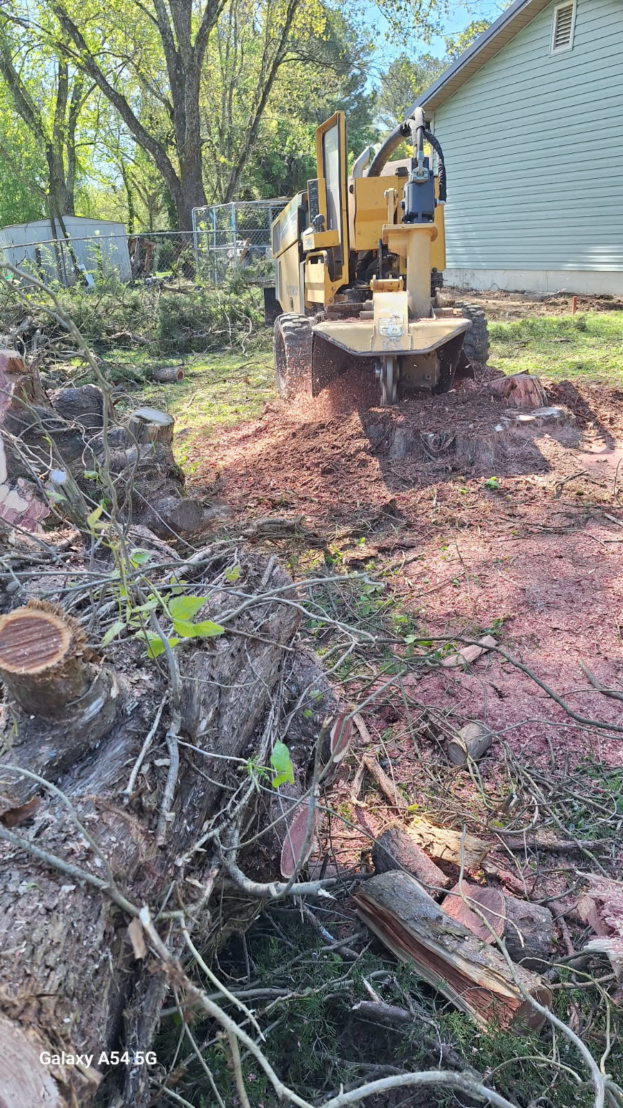 Stump